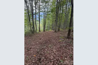Lt 262 Tote Road #262, Sylva, NC 28779 - Photo 5