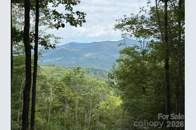 Lt 262 Tote Road #262, Sylva, NC 28779 - Photo 3