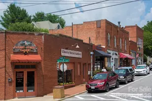 3 Leeds Ln, Black Mountain, NC 28711 - Photo 27