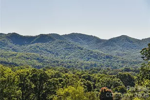 3 Leeds Ln, Black Mountain, NC 28711 - Photo 15