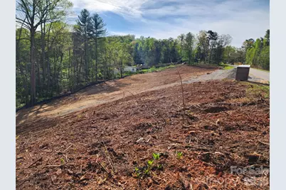 99999 Riverside Drive, Asheville, NC 28804 - Photo 7