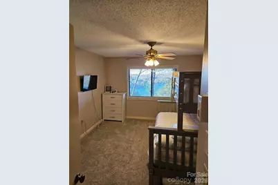 283 Tinequa Drive, Brevard, NC 28712 - Photo 23