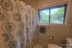 283 Tinequa Dr, Brevard, NC 28712 - Photo 25