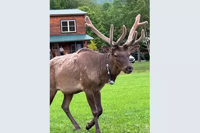 10 Onyx Lane, Maggie Valley, NC 28751 - Photo 21