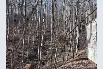 224 Riddle Road, Swannanoa, NC 28778 - Photo 9