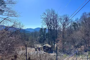 224 Riddle Rd, Swannanoa, NC 28778 - Photo 3