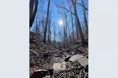 224 Riddle Road, Swannanoa, NC 28778 - Photo 15