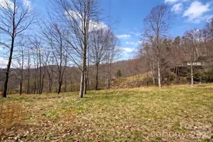 1511 Water Wheel Cove, Clyde, NC 28721 - Photo 3