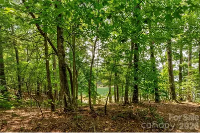 159 Deer Berry Drive #62, Nebo, NC 28761 - Photo 31