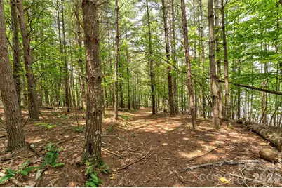 159 Deer Berry Drive #62, Nebo, NC 28761 - Photo 27