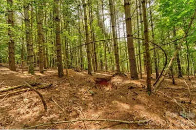 159 Deer Berry Drive #62, Nebo, NC 28761 - Photo 29