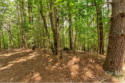 159 Deer Berry Drive #62, Nebo, NC 28761 - Photo 23