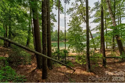 159 Deer Berry Drive #62, Nebo, NC 28761 - Photo 19