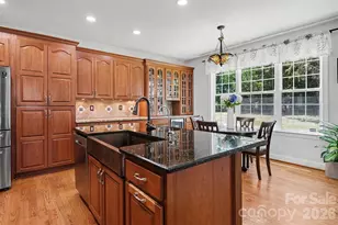 132 Sink Farm Rd, Mooresville, NC 28115 - Photo 13