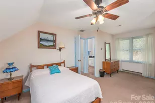 444 Martin Branch Rd, Leicester, NC 28748 - Photo 19