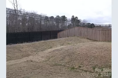 160 Cobbler Drive, Peachland, NC 28133 - Photo 3