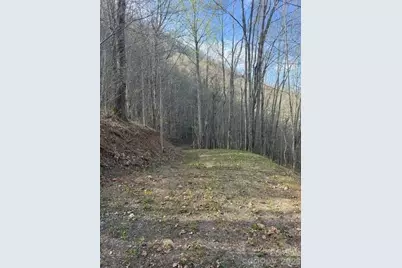 Lt 70 Old Growth Way #70, Sylva, NC 28779 - Photo 3
