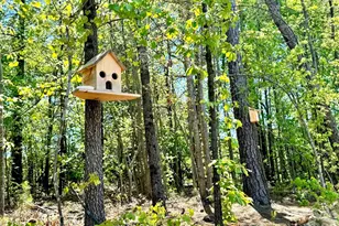 351 Miramar Dr, York, SC 29745 - Photo 45