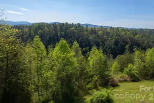 100 Bend View Dr, Marshall, NC 28753 - Photo 11