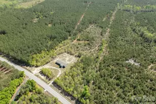 4210 Aaron Temple Church Rd, Bennettsville, SC 29512 - Photo 3
