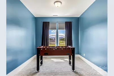 16 Pisgah Ridge Trail, Mills River, NC 28759 - Photo 27