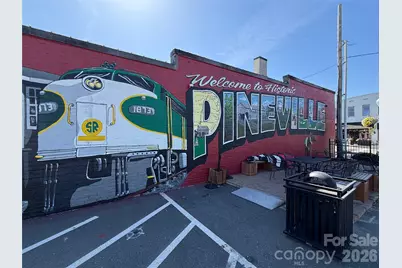 339 Ladybird Lane, Pineville, NC 28134 - Photo 37