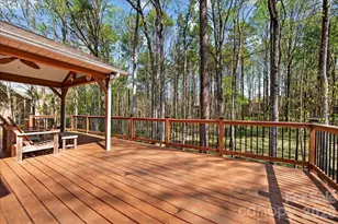 12532 Overlook Mountain Dr, Charlotte, NC 28216 - Photo 45