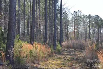 00 Peter Hawk Creek Road #12, Jonesville, SC 29353 - Photo 15