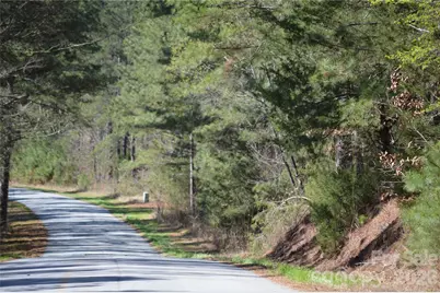 00 Peter Hawk Creek Road #12, Jonesville, SC 29353 - Photo 17