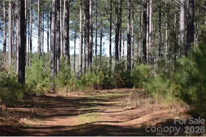 00 Peter Hawk Creek Road #12, Jonesville, SC 29353 - Photo 5
