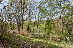 74 Link Cir, Maggie Valley, NC 28751 - Photo 41