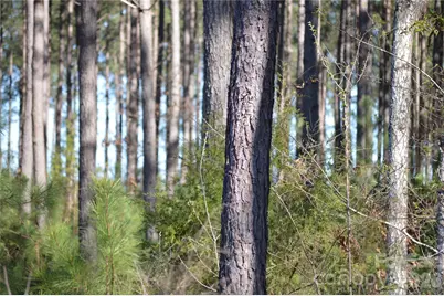 00 Peter Hawk Creek Road #14, Jonesville, SC 29353 - Photo 13