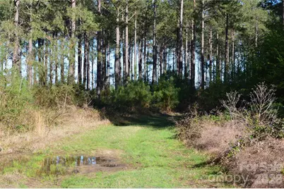00 Peter Hawk Creek Road #14, Jonesville, SC 29353 - Photo 7