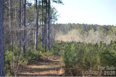 00 Peter Hawk Creek Road #14, Jonesville, SC 29353 - Photo 9