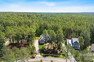 6296 Chimney Bluff Rd, Lancaster, SC 29720 - Photo 29