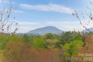 16 Dearborn St, Asheville, NC 28803 - Photo 41