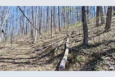 00 Maynor Drive, Sylva, NC 28779 - Photo 11