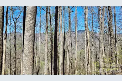 00 Maynor Drive, Sylva, NC 28779 - Photo 15