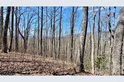 00 Maynor Drive, Sylva, NC 28779 - Photo 17