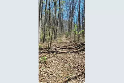 00 Maynor Drive, Sylva, NC 28779 - Photo 3