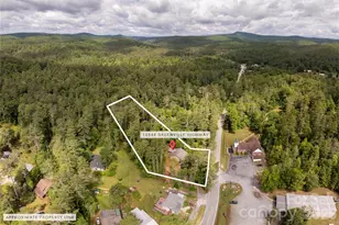 10844 Greenville Hwy, Cedar Mountain, NC 28718 - Photo 33
