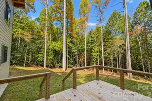 2395 Pisgah Forest Dr, Pisgah Forest, NC 28768 - Photo 11