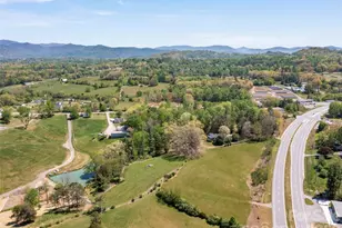 60 Dix Creek Chapel Rd, Asheville, NC 28806 - Photo 29