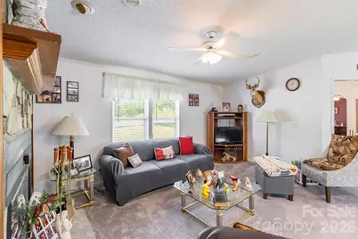 777 John Doster Road, Pageland, SC 29728 - Photo 11