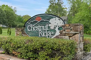 112 Chestnut Ln, Hendersonville, NC 28792 - Photo 47
