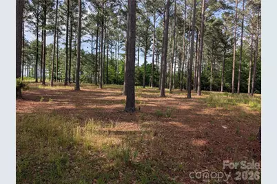 0000 Blessed Hope Road #Tract 2, York, SC 29745 - Photo 5