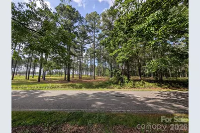 0000 Blessed Hope Road #Tract 2, York, SC 29745 - Photo 1