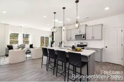 1036 Pickering Place, York, SC 29745 - Photo 3