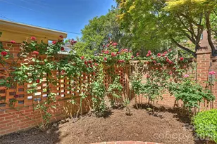 2320 Selwyn Ave, Charlotte, NC 28207 - Photo 39