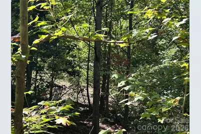 168 Robinwood Trail, Bostic, NC 28018 - Photo 5